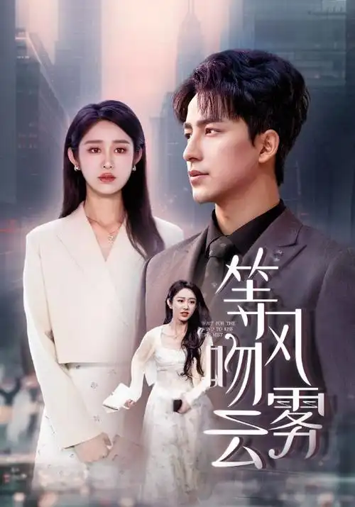 日本电视剧《便当与晚风》剧照